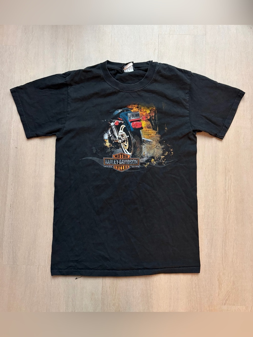 Vintage Harley Davidson shirt